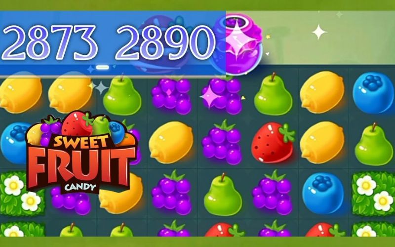 cách chơi candy fruit cho người mới bắt đầu